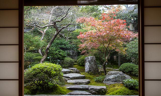 個室の窓から見える小さな和庭と季節の木々